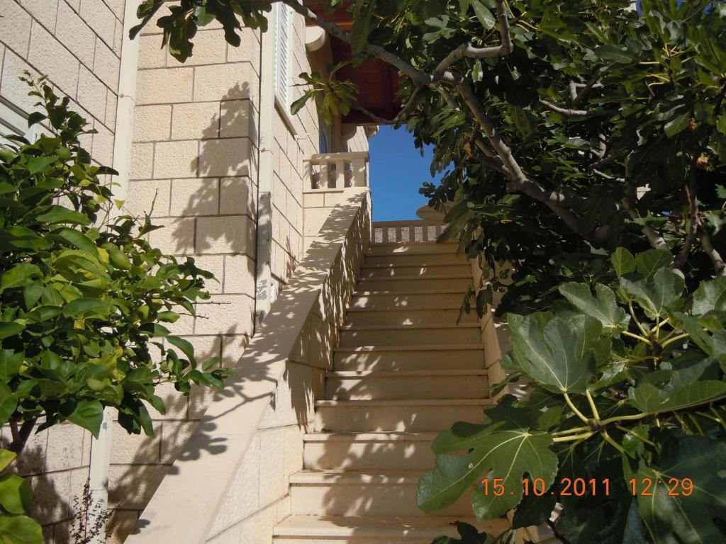 Central Apartment Dubrovnik Rom bilde