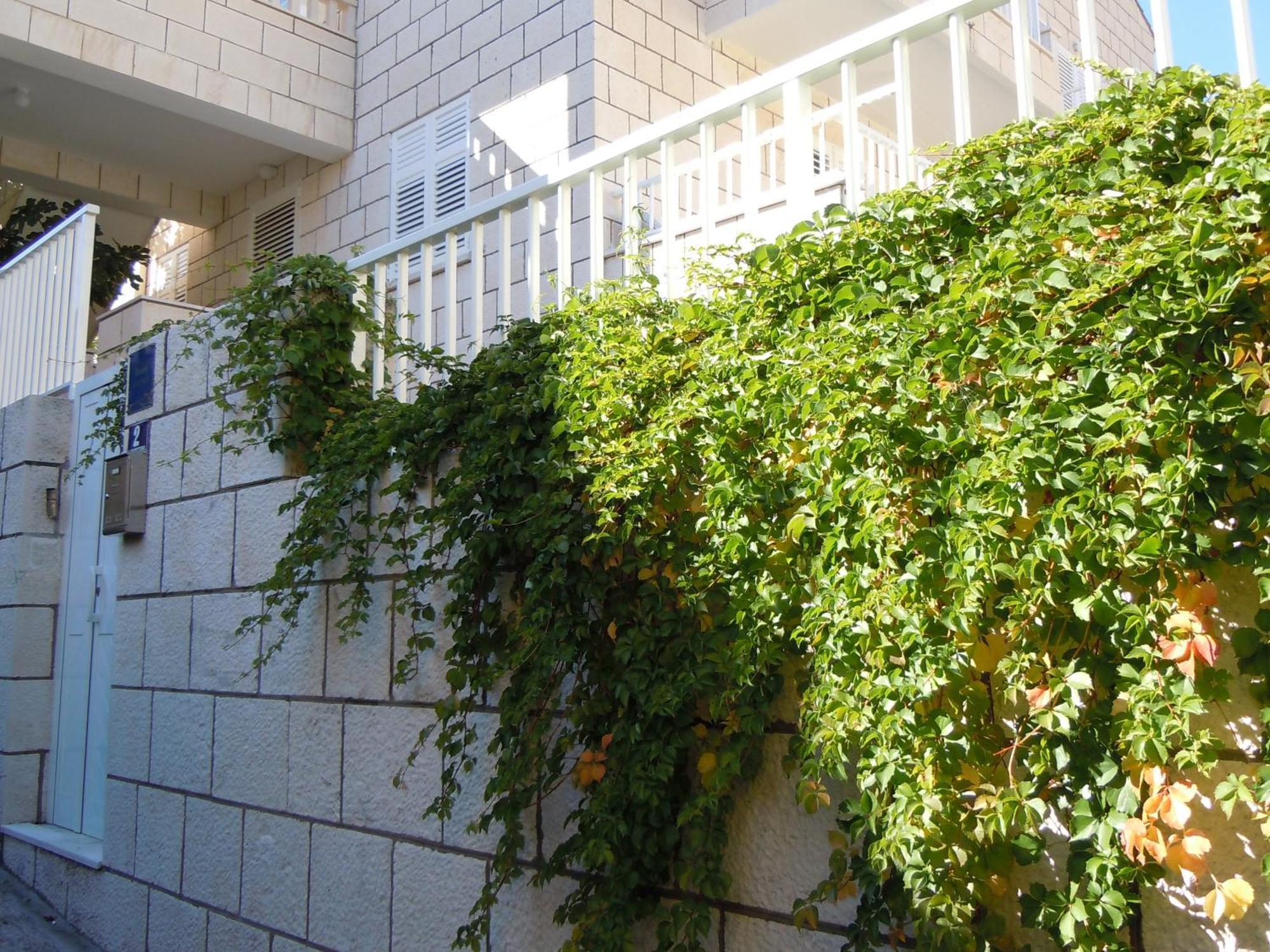 Central Apartment Dubrovnik Eksteriør bilde