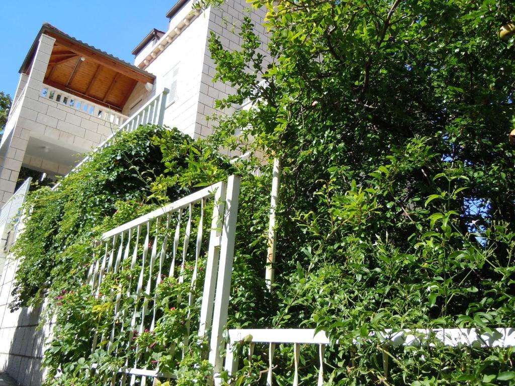 Central Apartment Dubrovnik Eksteriør bilde